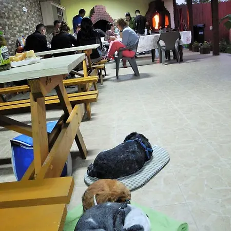 Cazare Balliu Holiday park