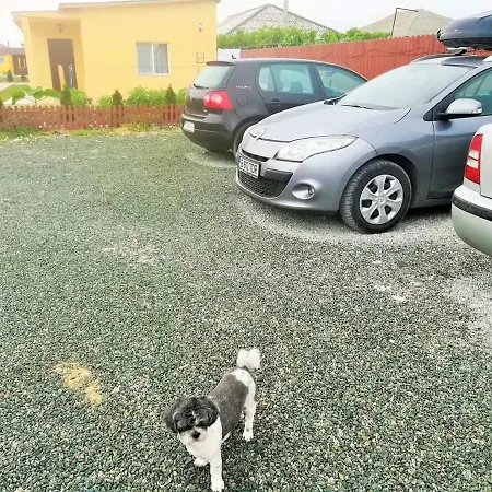 Balliu * Corbu (Constanta)