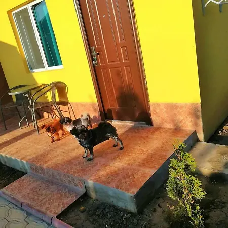 Balliu * Corbu (Constanta)