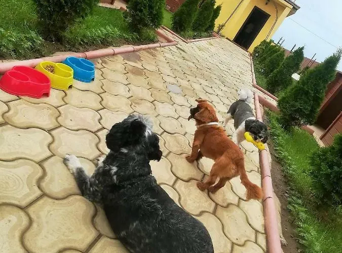 Kompleks wypoczynkowy Balliu