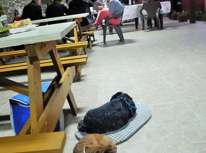 Balliu Kompleks wypoczynkowy